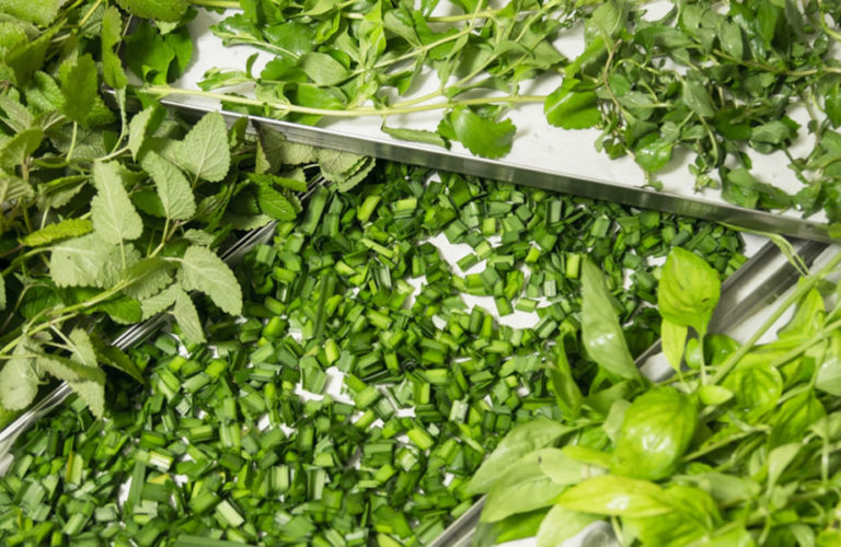 Fiddlers Choice: Growing Herbs in AQUAPONICS